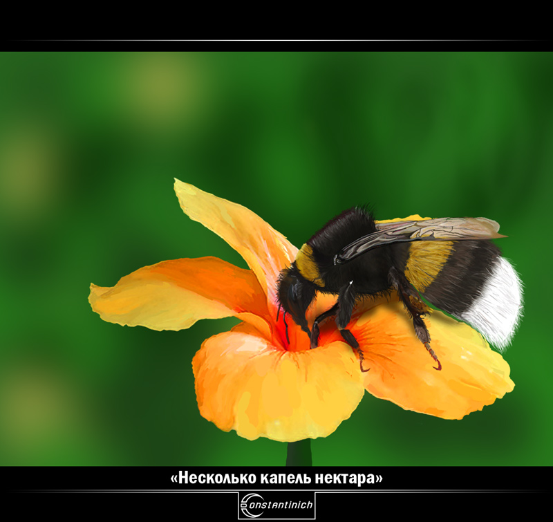 Несколько капель нектара