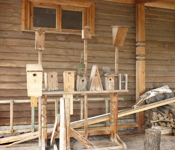 В ожидании скворцов