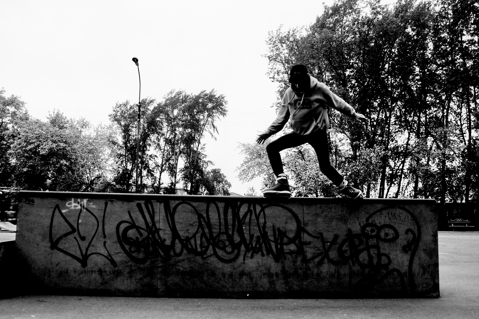 Александр Новоселов