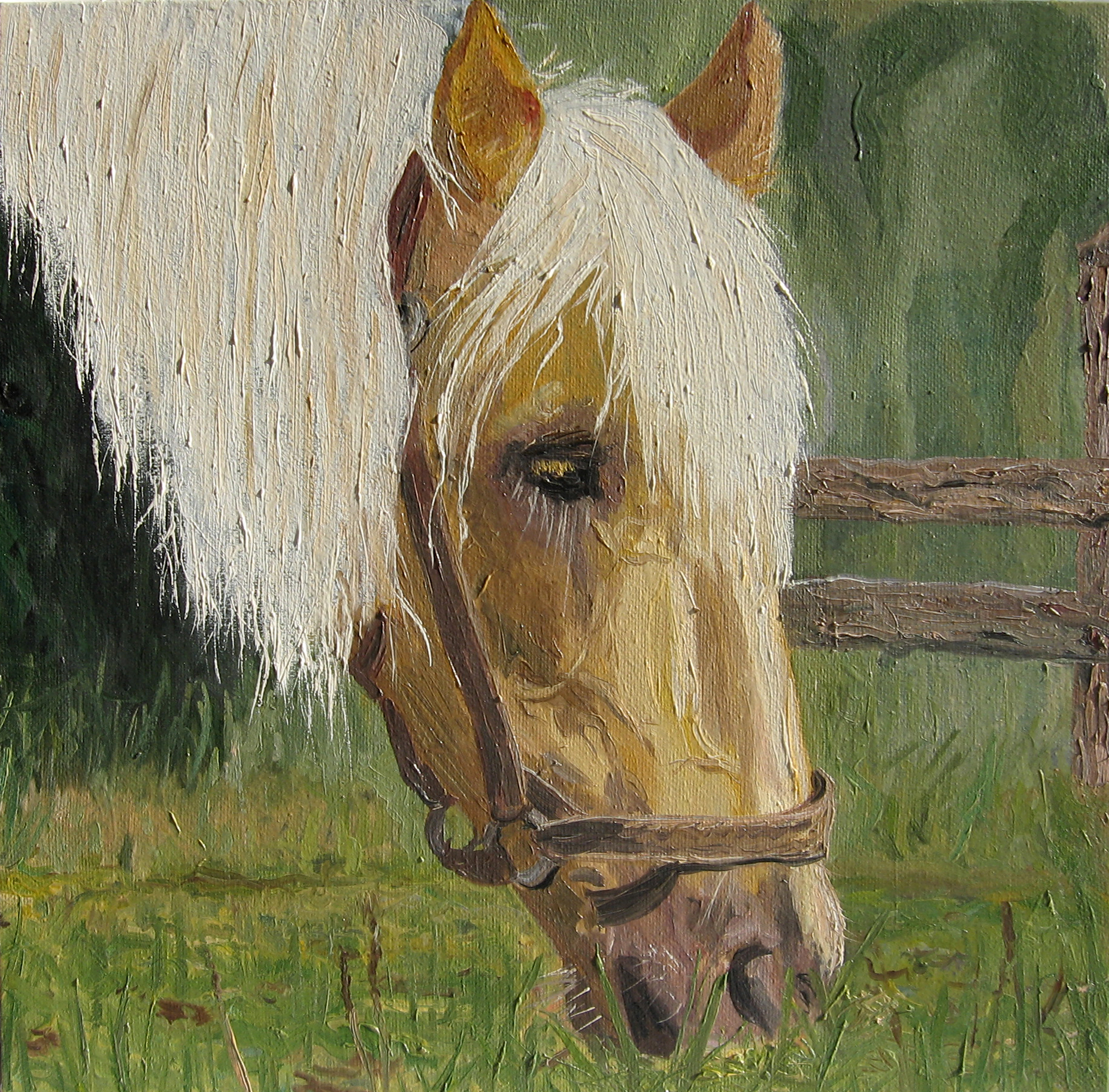 Лошадь (масло)