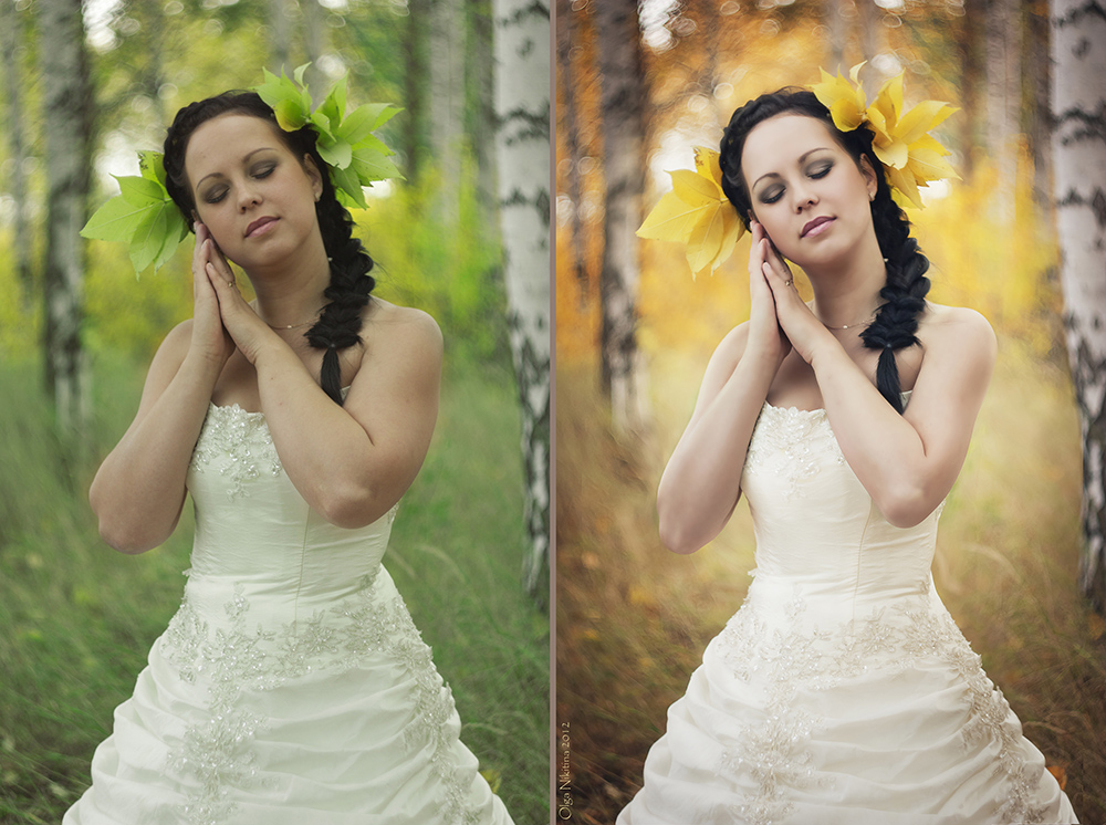 Художественная ретушь