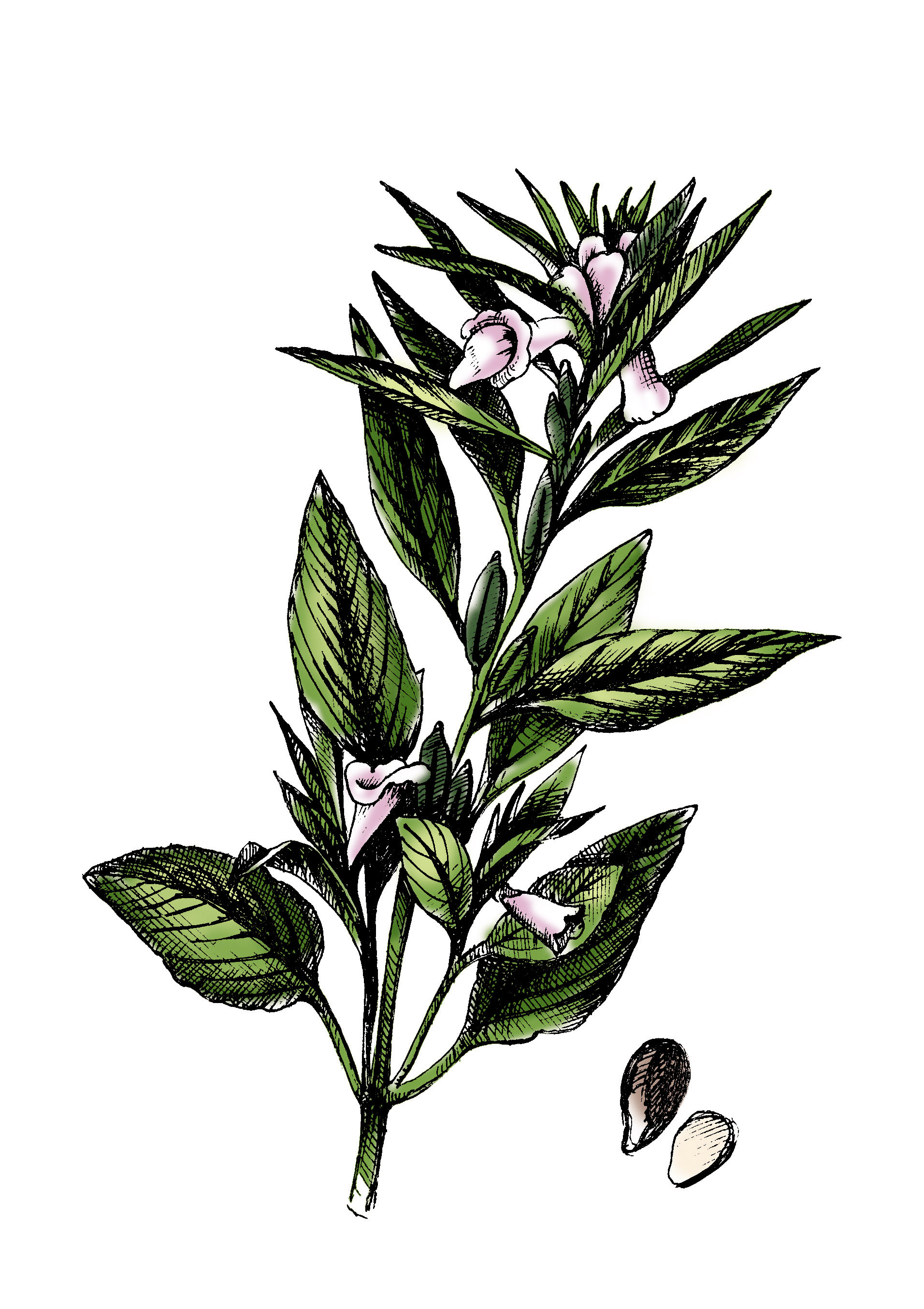 Рисунок на некхенгер для масла