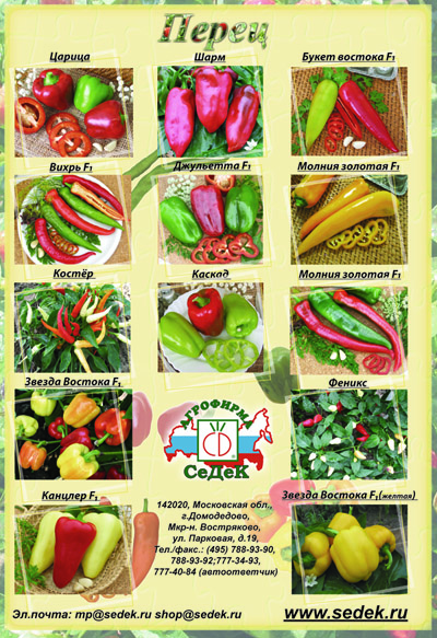 плакат для "СеДеК"