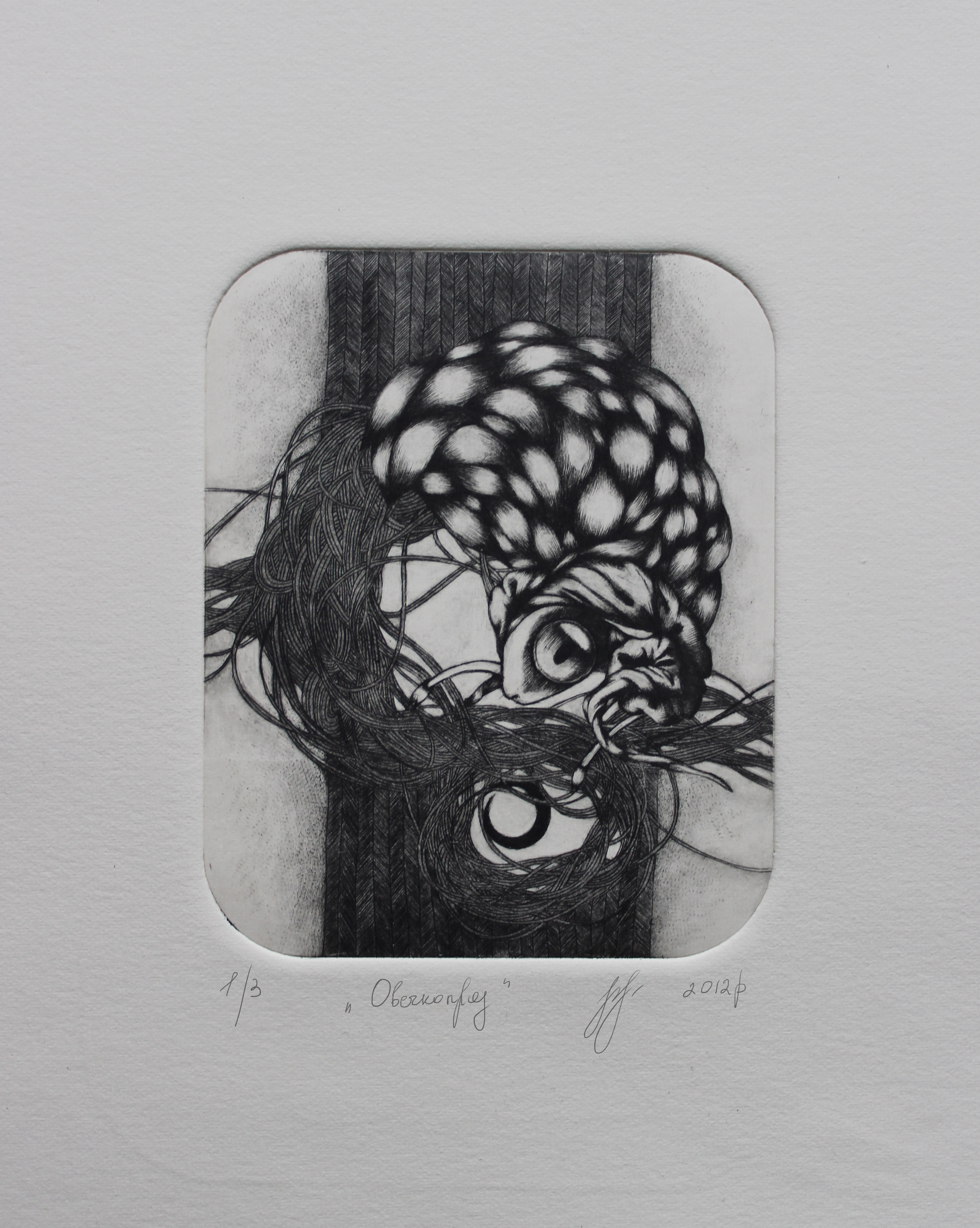 "Овечкопряд"