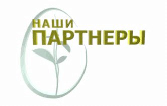 банер на сайт АНО ДАСИ