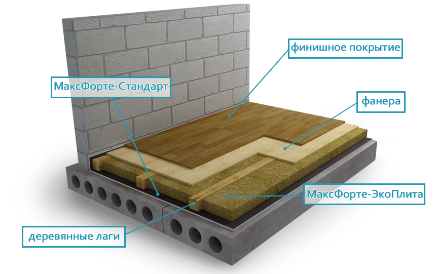 maxforte_пол на лагах