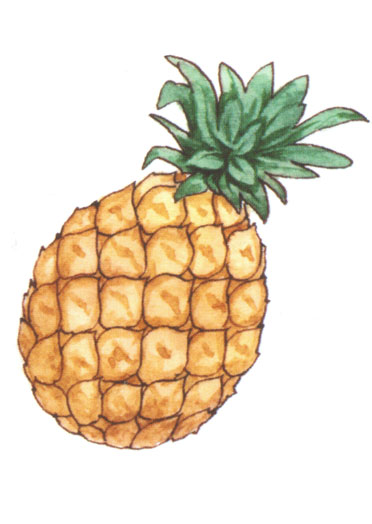 рис.а1 разв. пособие