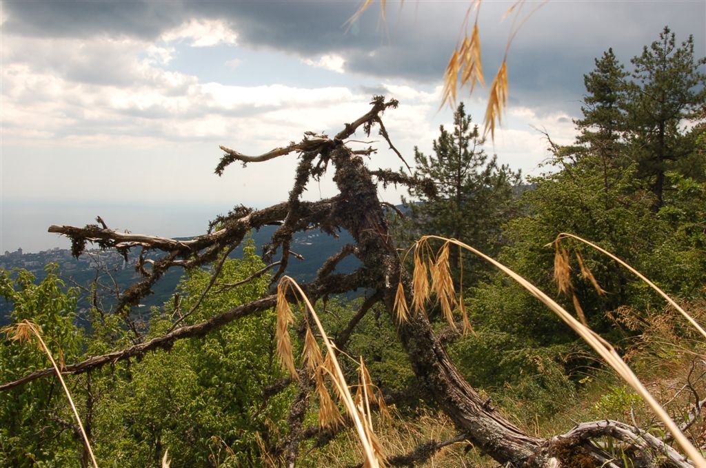 Горный Крым