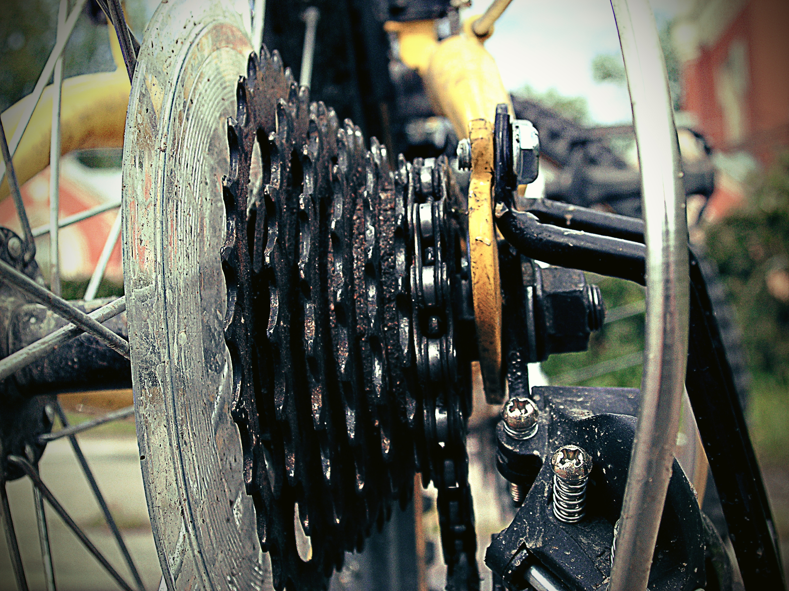 Фото для велопроката.