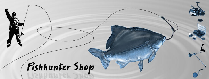 Варинт дизайна шапки сайта