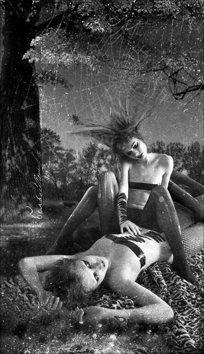 "Жизнь насекомых"