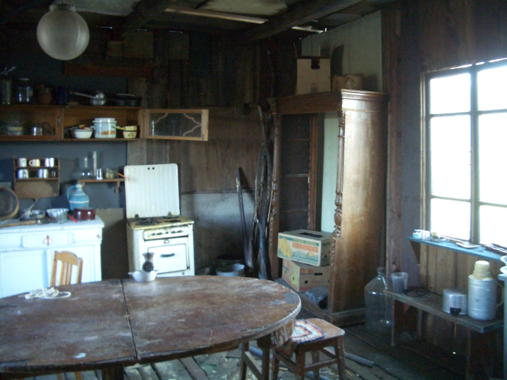 х/ф "Три дня с придурком" 2010 г. кухня