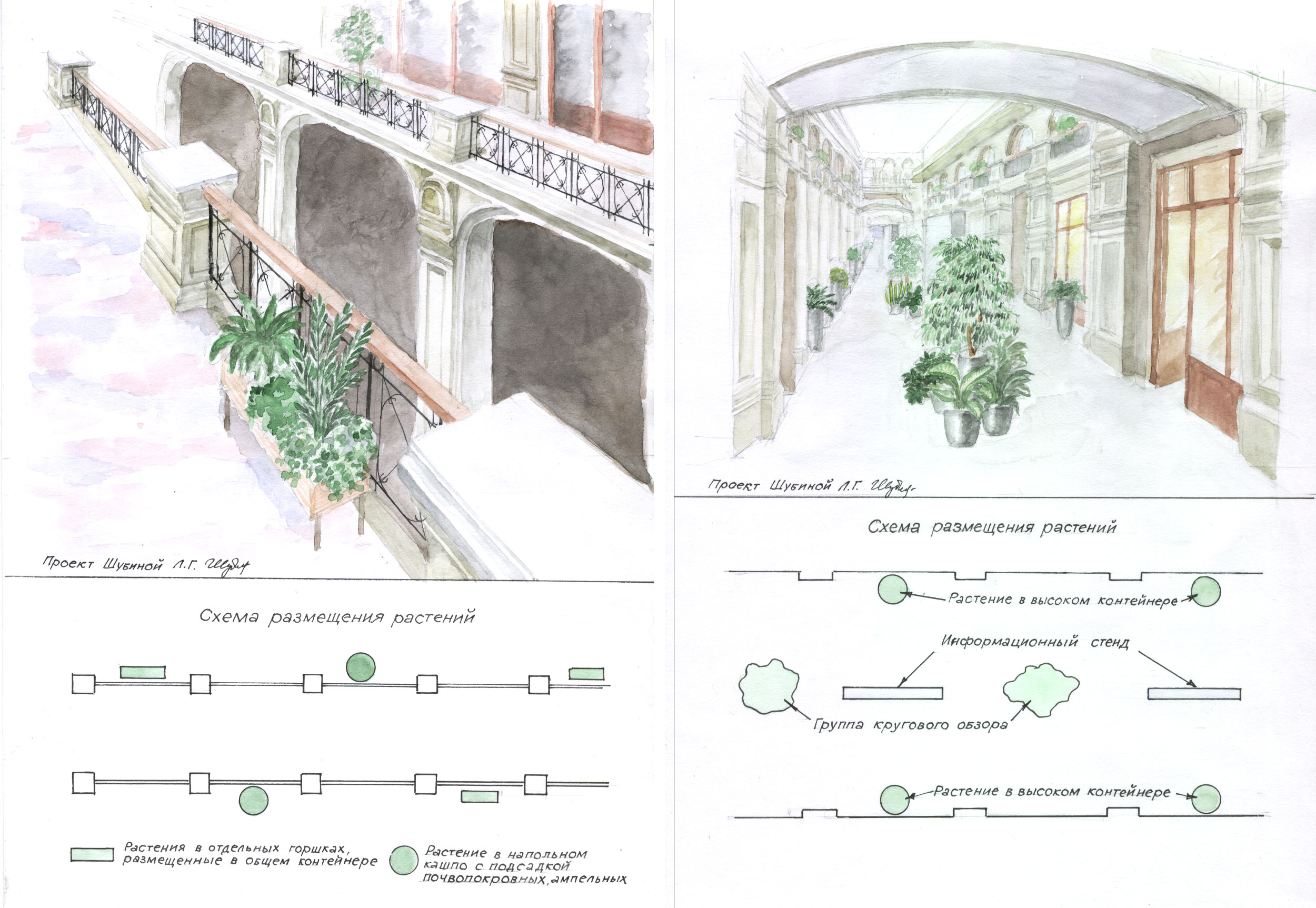 эскизы для зимнего сада
