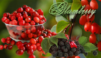 Это Визитка для одной из фирм