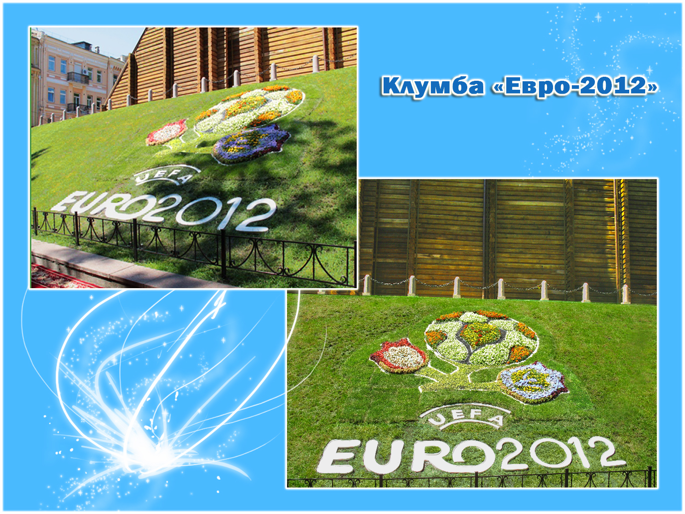 Клумба в виде логотипа "Евро-2012"