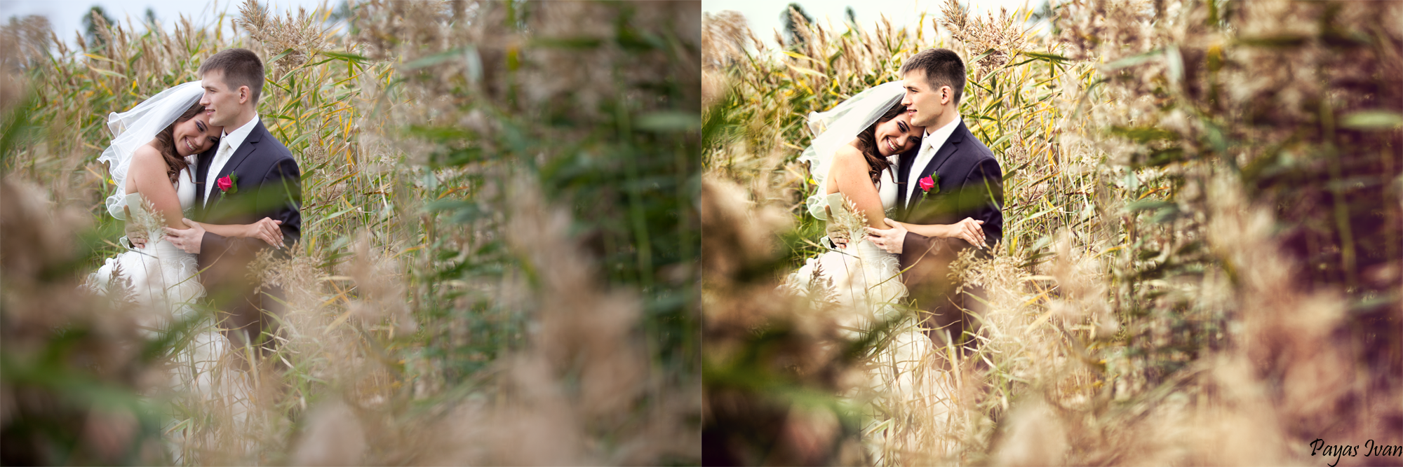 Ретушь и коррекция цвета свадебной фотографии