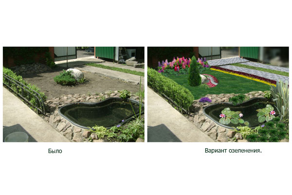 Озеленение части частного участка.