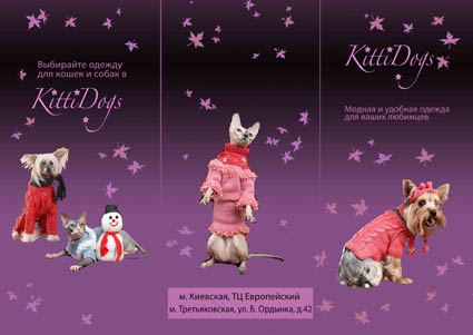 буклет для рекламы магазина одежды для собак и кошек