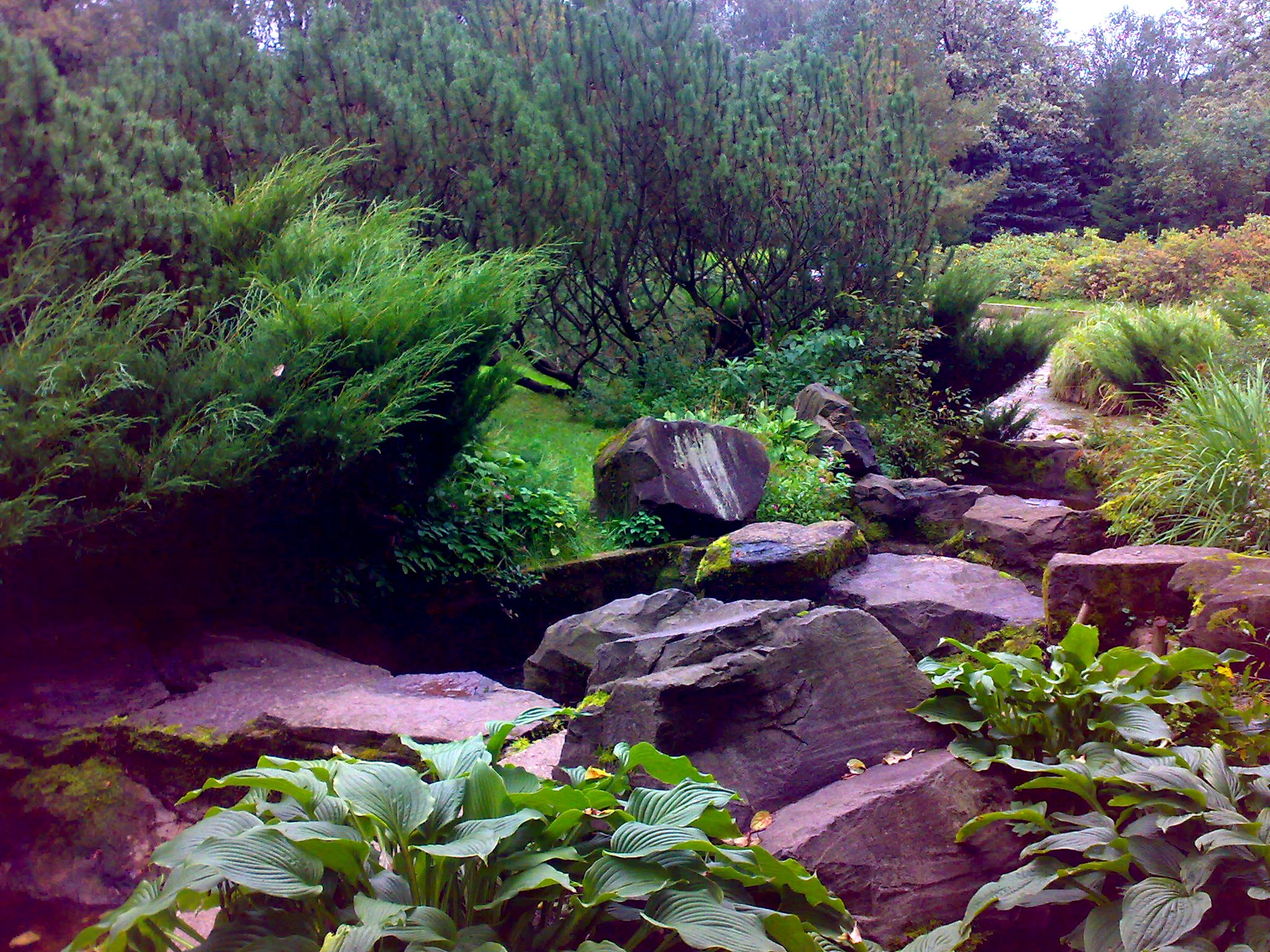 Фото для статьи