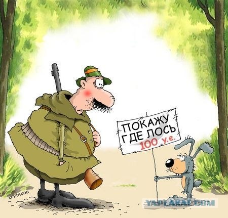 прикрепленный файл