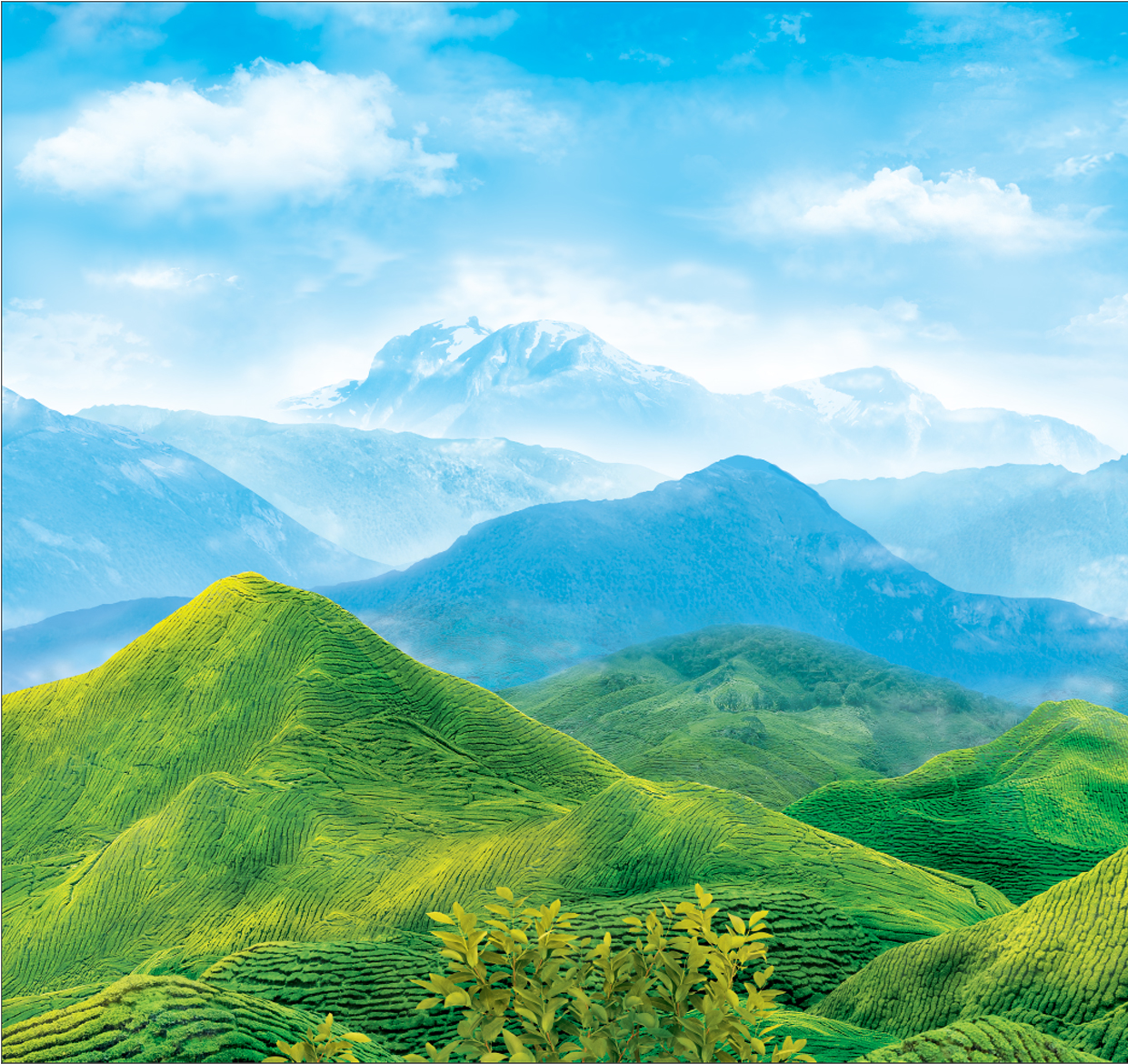 фотоколлаж