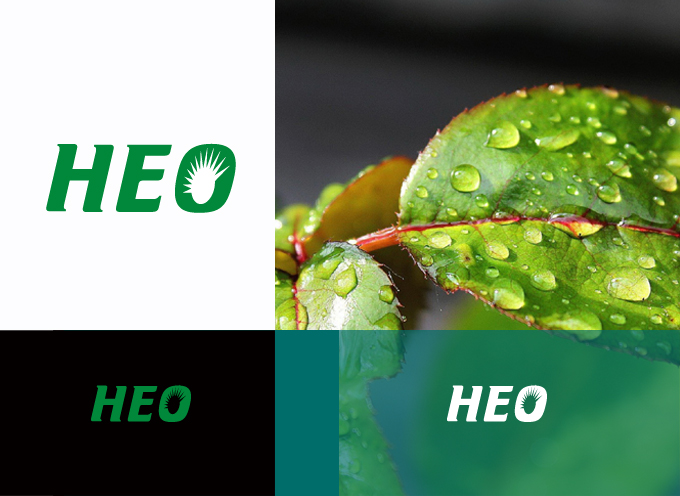 логотип экологической группы "нео"