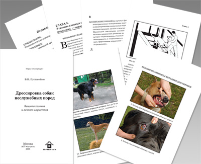 Дрессировка собак неслужебных пород