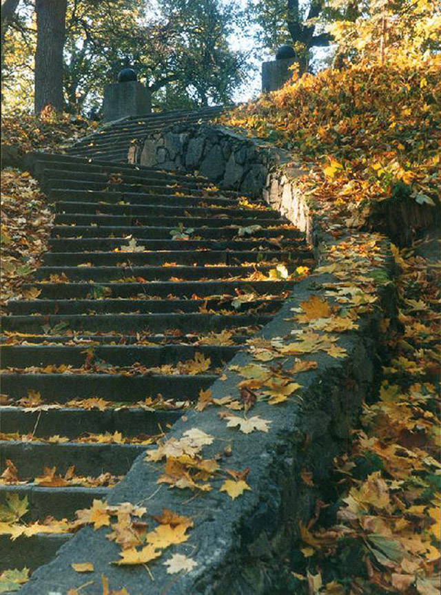 Дендропарк "Олександрія" - Осінній етюд