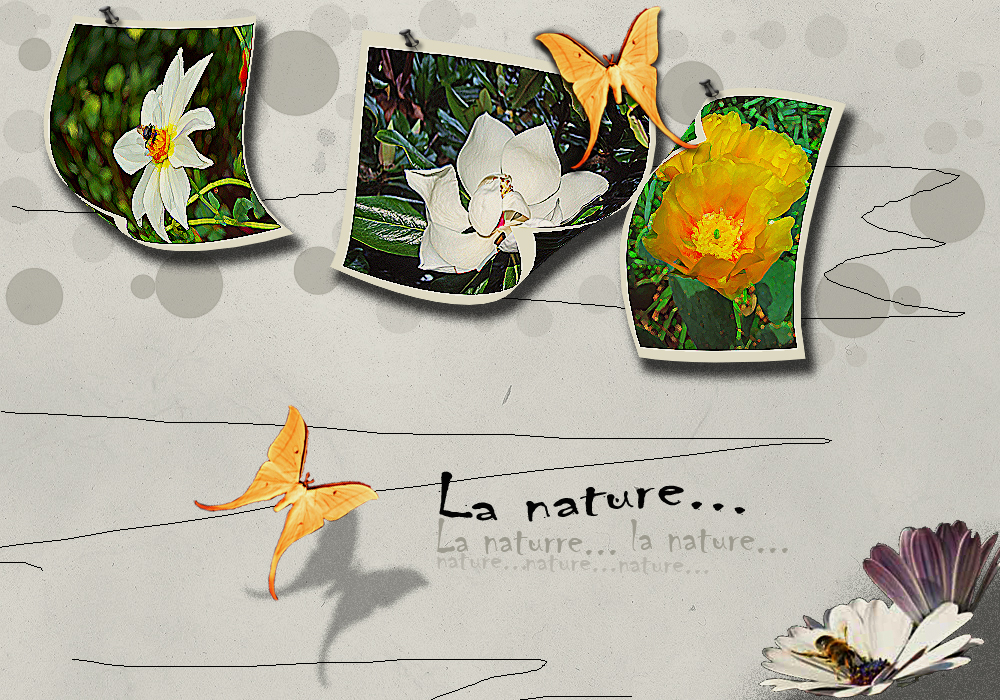 Коллаж природа