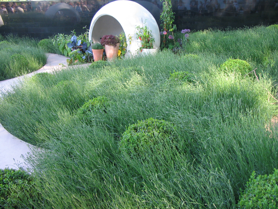 Ландшафтный дизайн