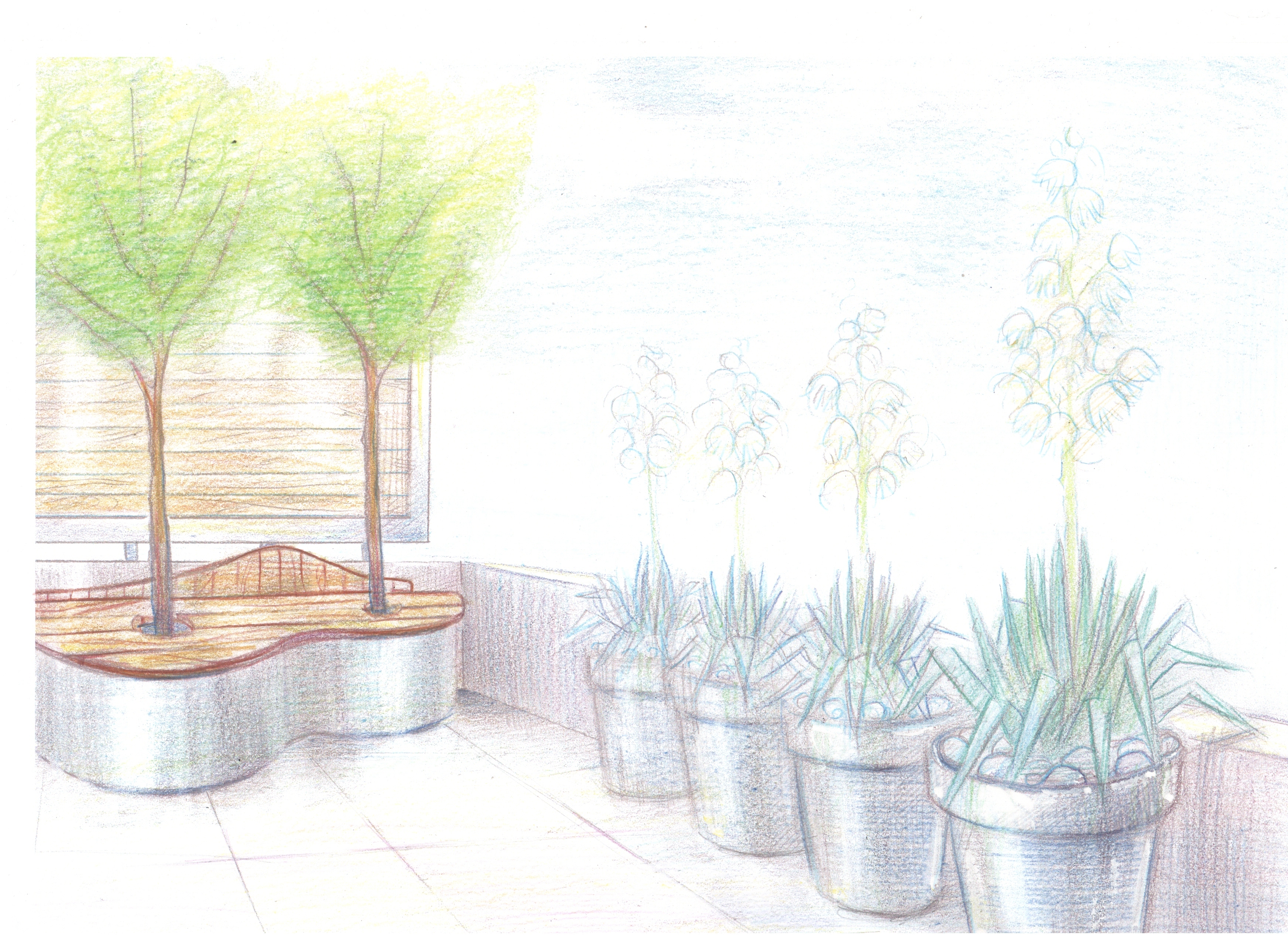 сад на крыше