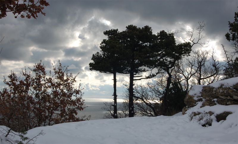 Почти графика :)