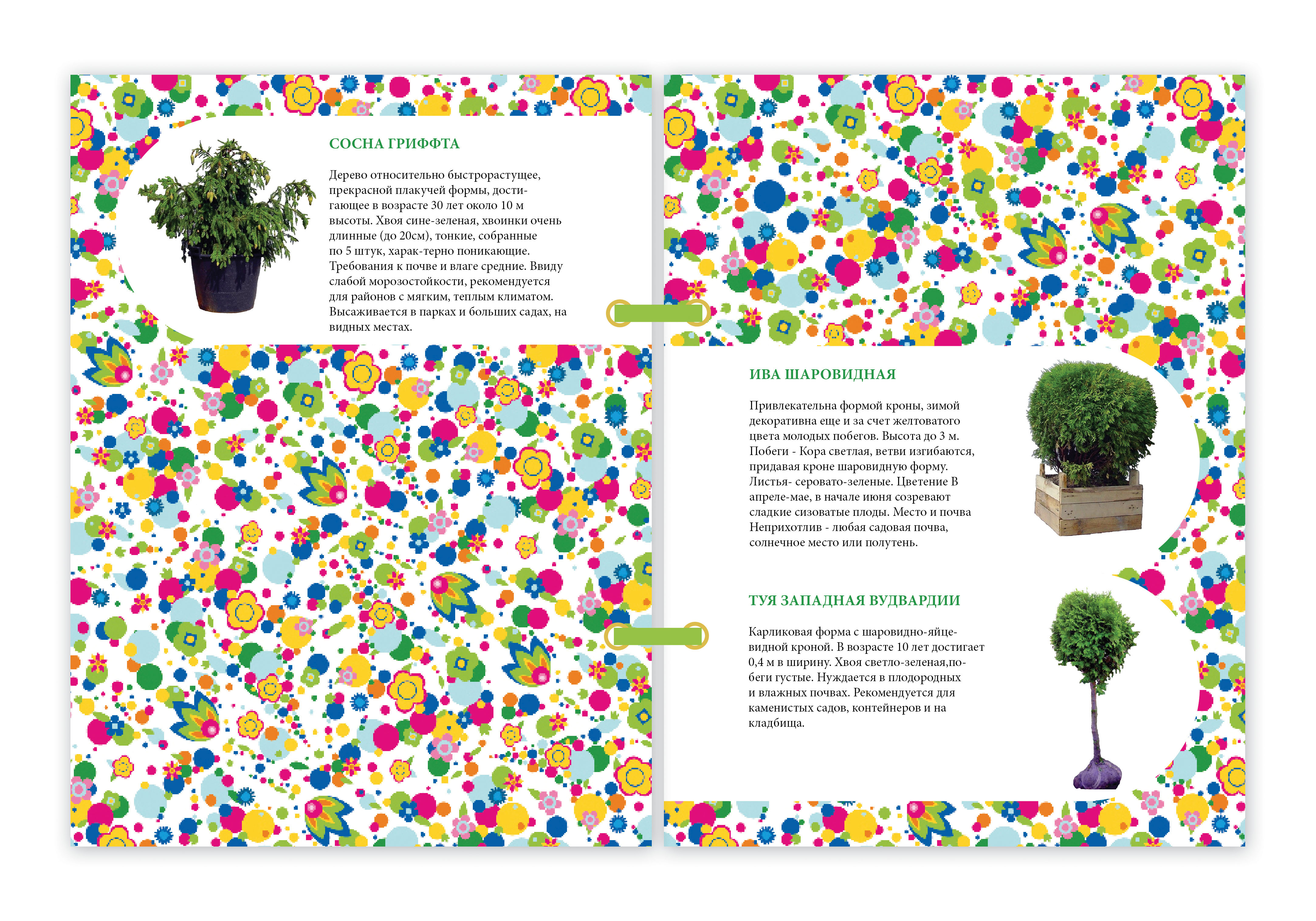 каталог для фирмы "Растительный мир"