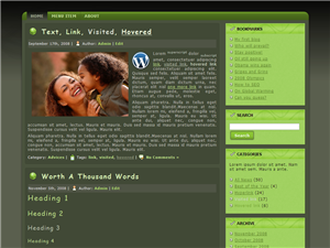 Шаблон WordPress Nubu