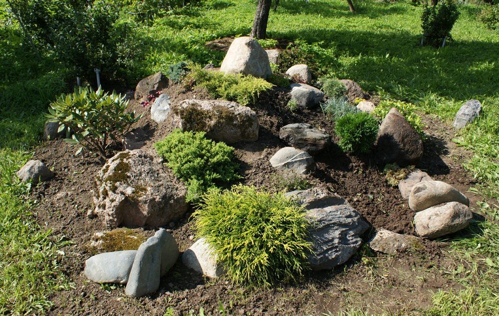 сад камней
