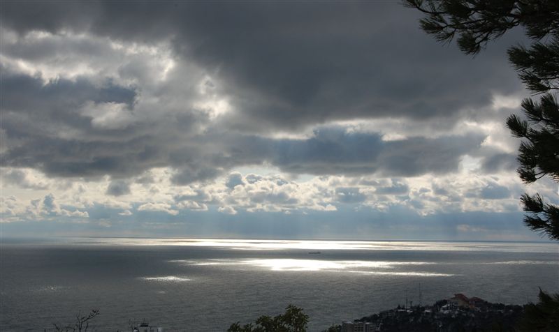 Обалдеть! :)))