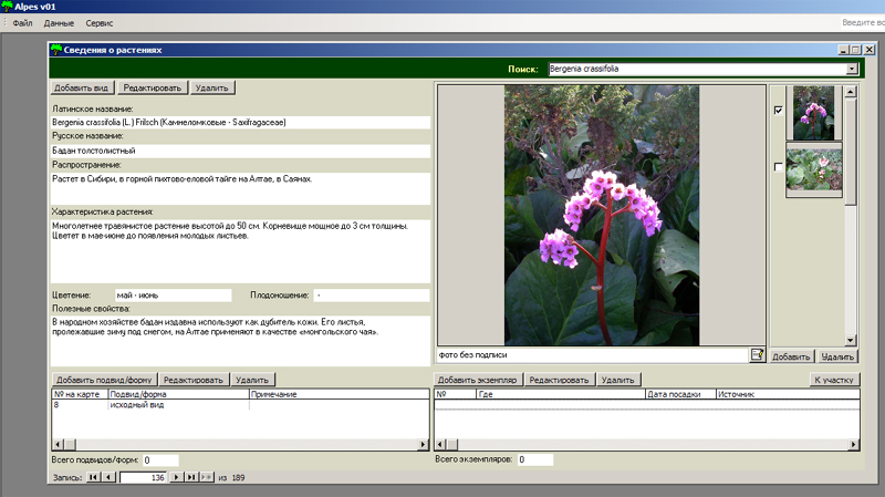 Alpes (ботаническая коллекция)