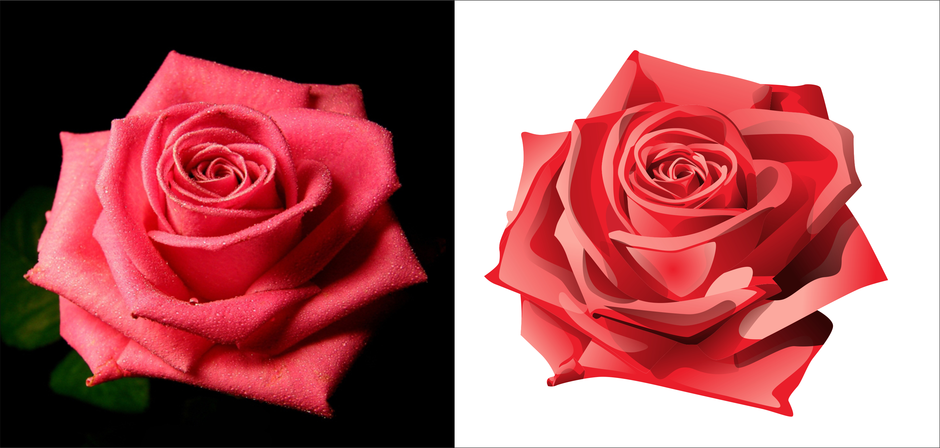 отрисовка (векторизация)