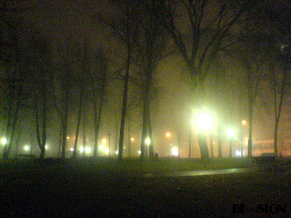 скверик на карлочке 2