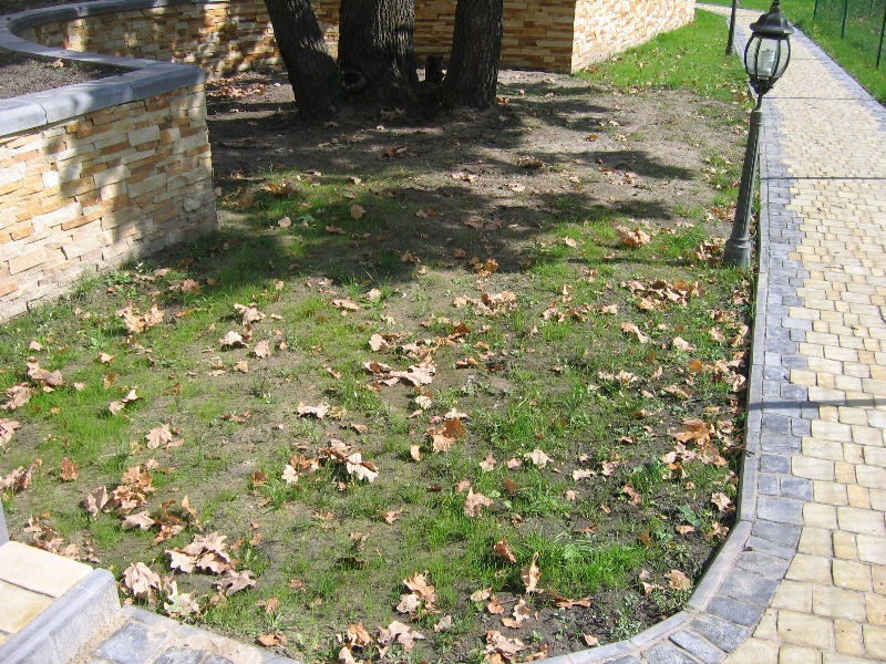 Визуализация "Луковичные" (до)