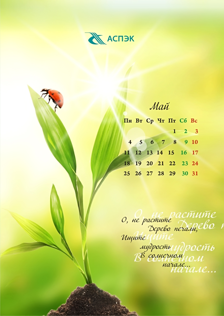 Нефтеперерабатывающая компания "Аспэк" Календарь настенный