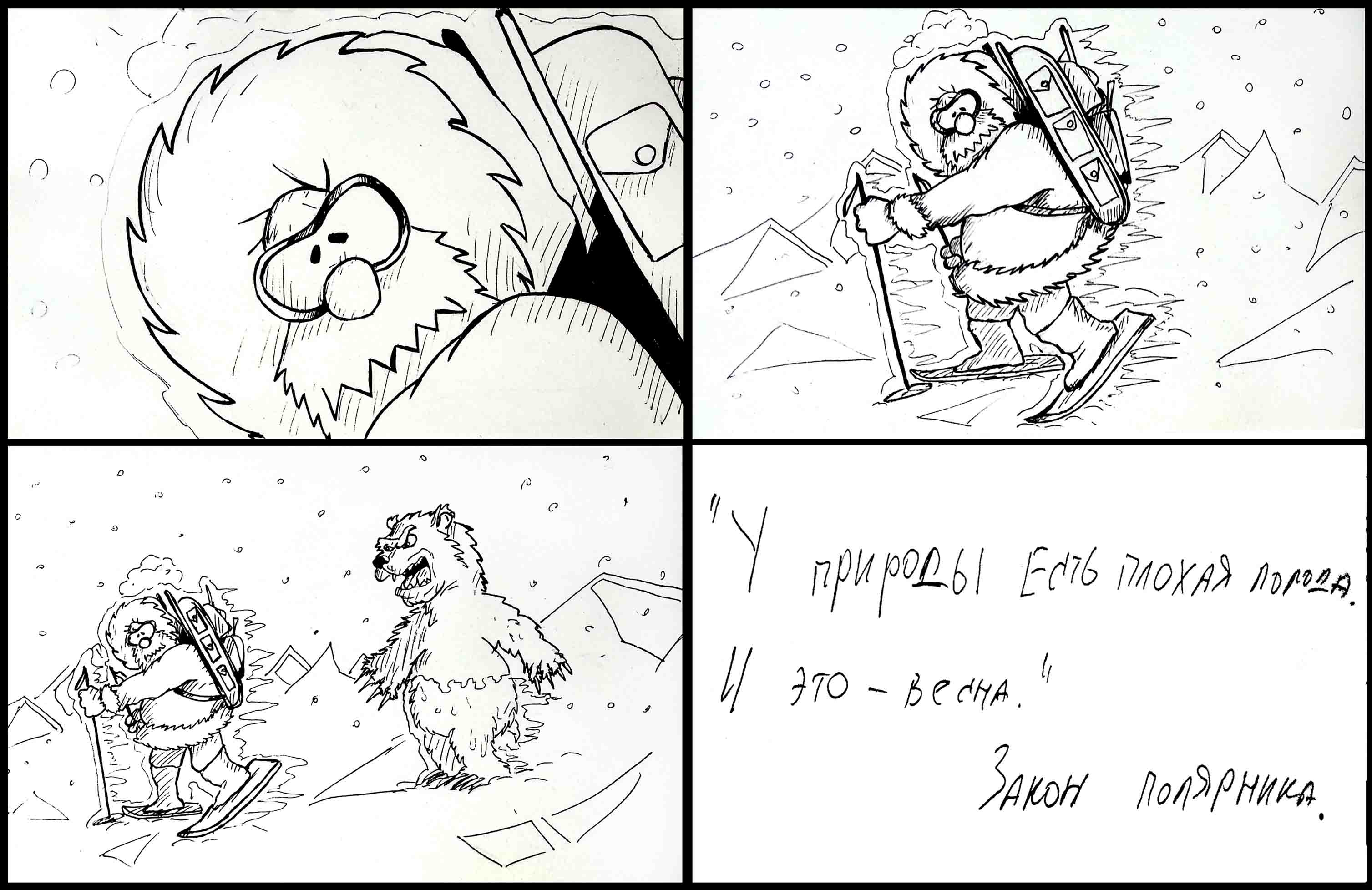 Закон полярника