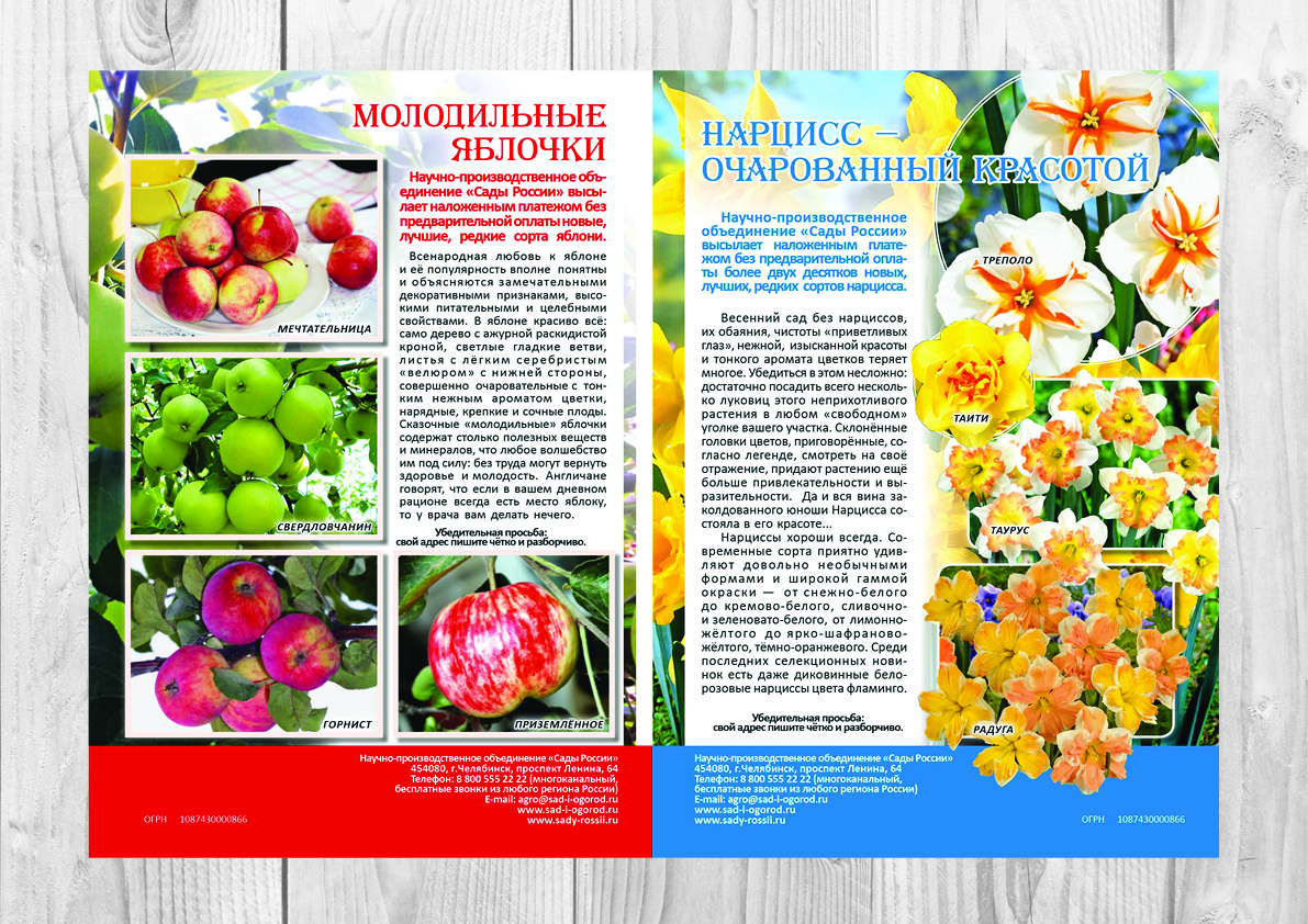 Вёрстка журнала "Сады России, примеры вёрстки.