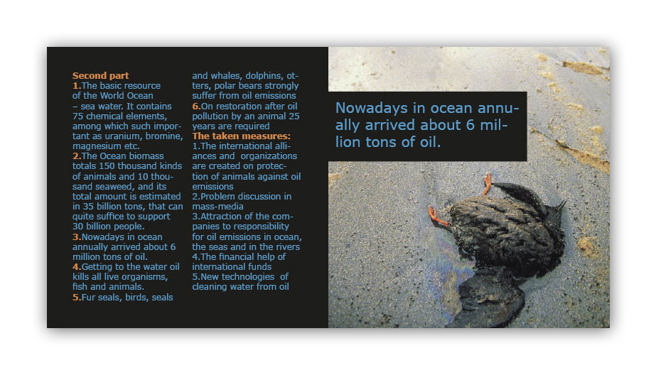 буклет "Motor industry and problem of enviromental pollution&quot