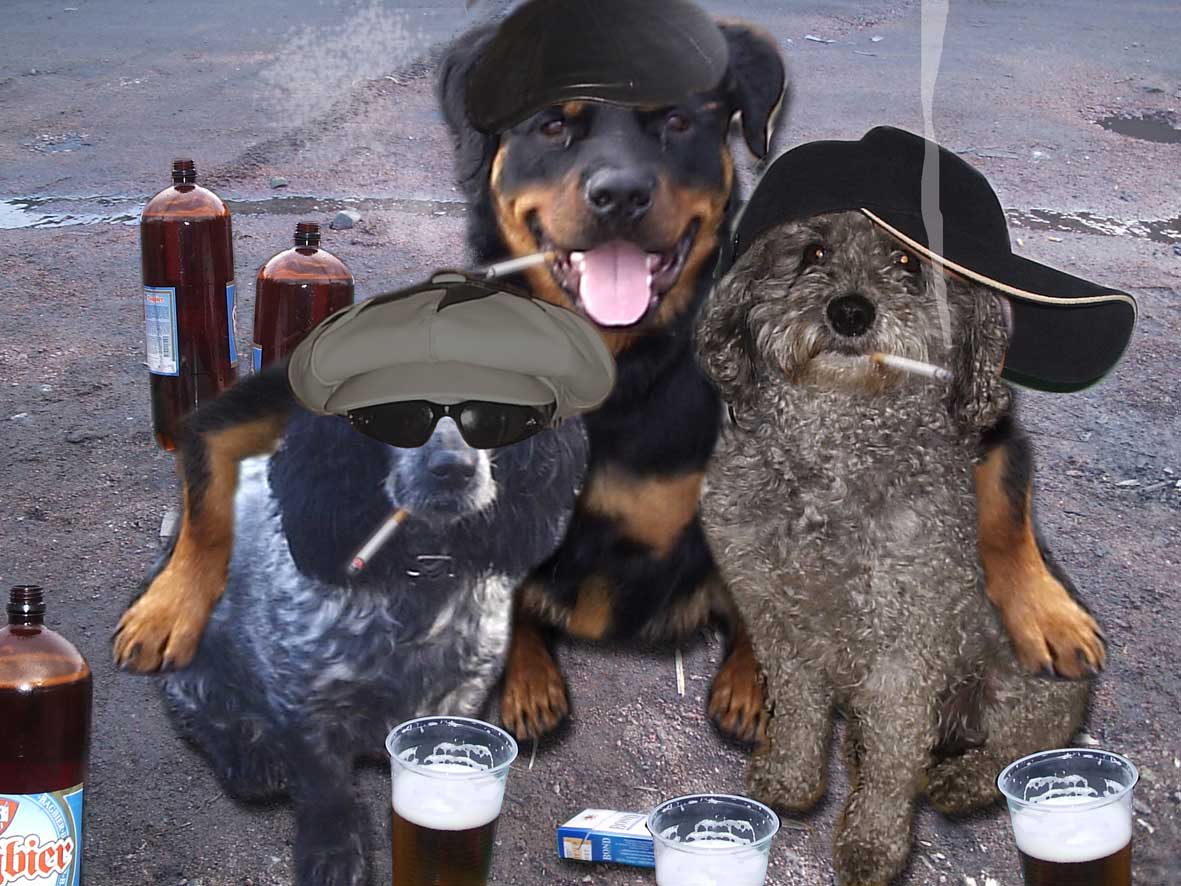 Обработанная фотография.