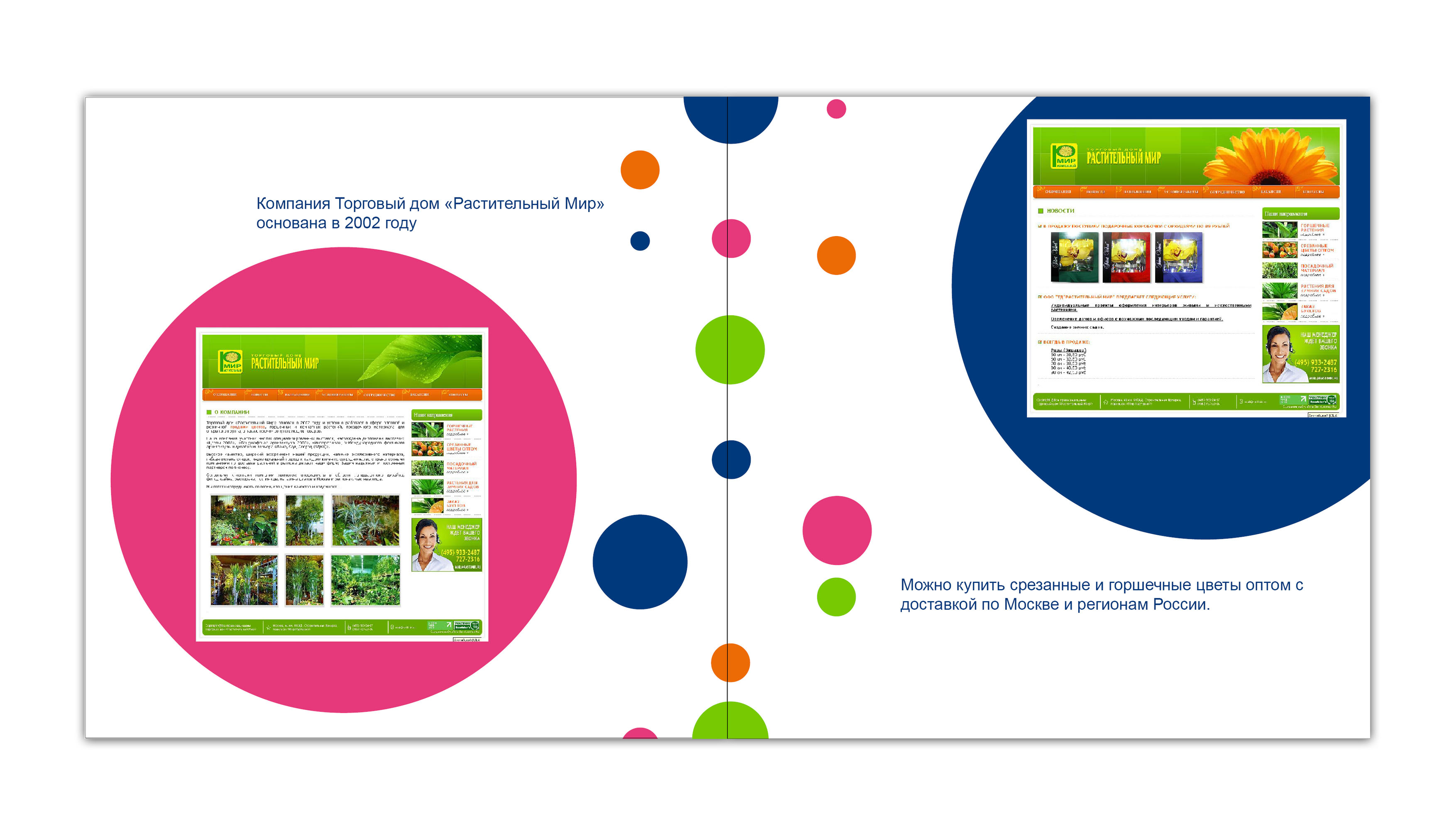исследованиебрендбук для фирмы "Растительный мир"