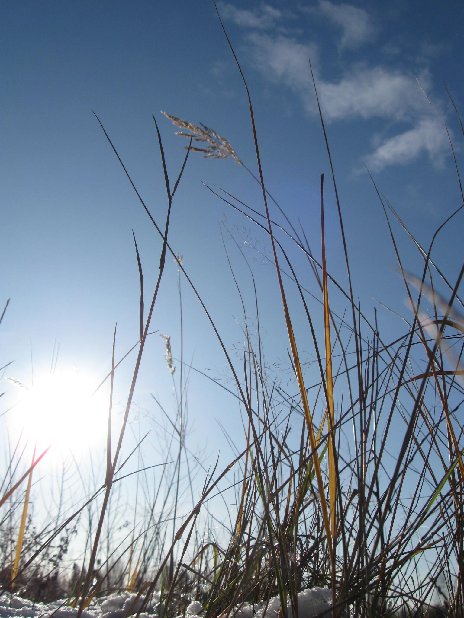 Весенняя прогулка )