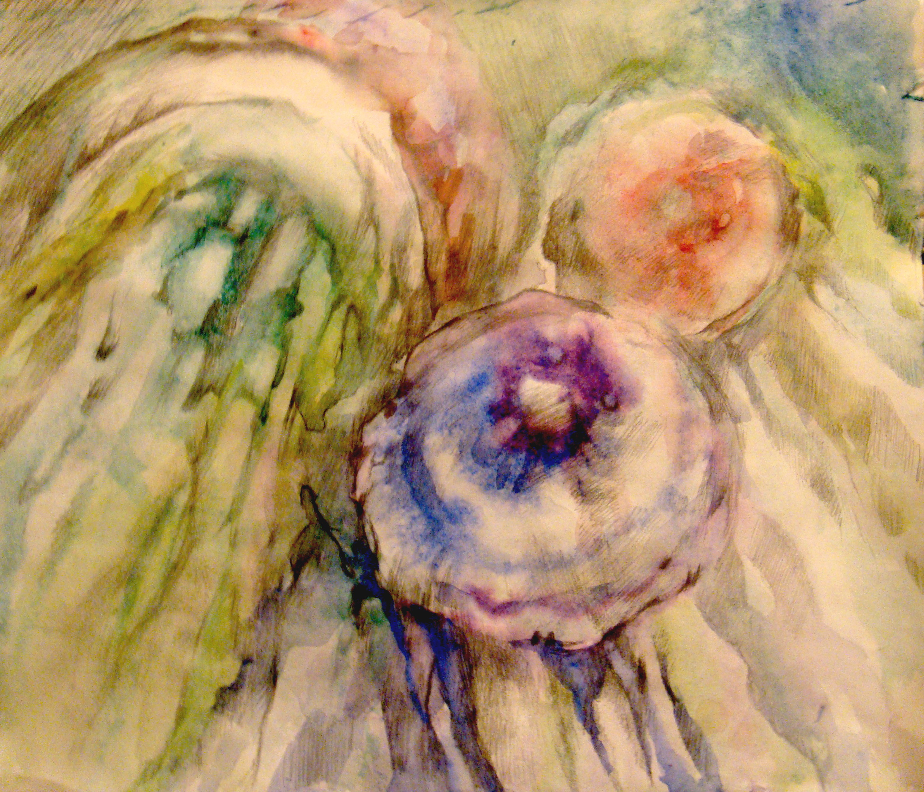 Медузы (акварель)