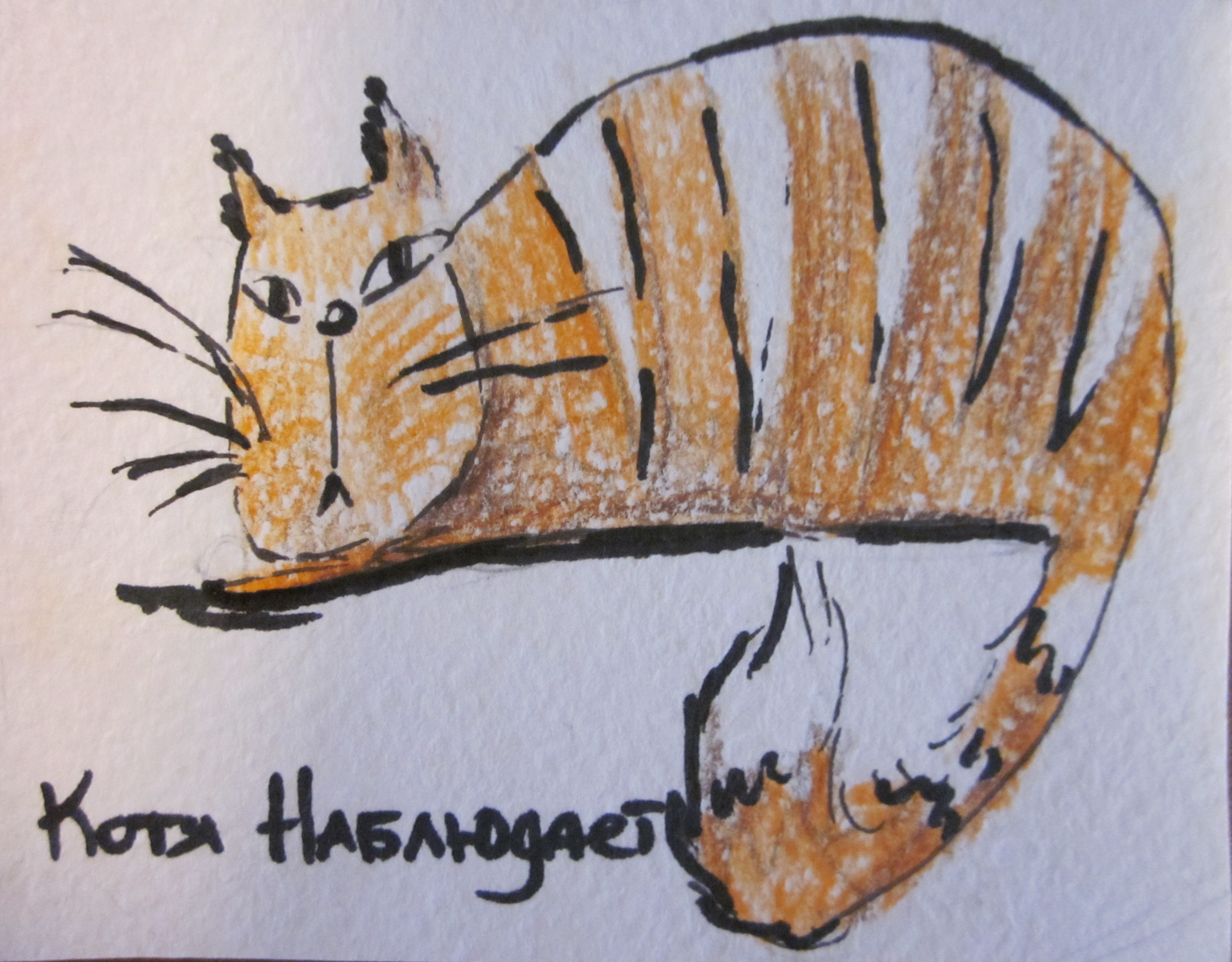 Серия поздравительных мини-открыток "Коты")