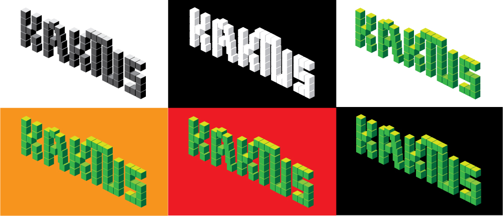 kaktus